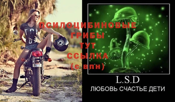 гашик Абдулино